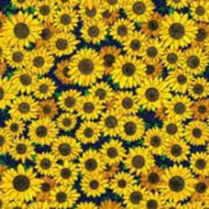 Meet your Posher, Meignliah